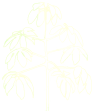 Sustentabilidade