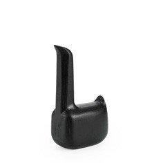 Swan Black