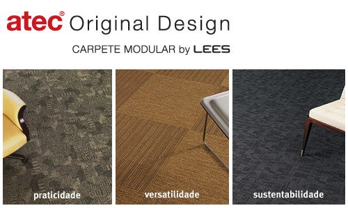 Os Perigos A Espreita No Carpete